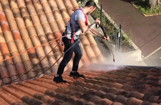 Nettoyage et démoussage de toiture 